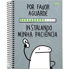 Caderno Espiral Universitário Flork - Capa Dura 10 Matérias