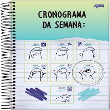 Caderno Espiral Universitário Flork - Capa Dura 10 Matérias
